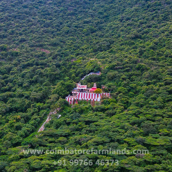 Anuvavi Subramanya Murugan Temple